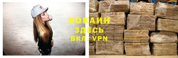 крисы Алзамай