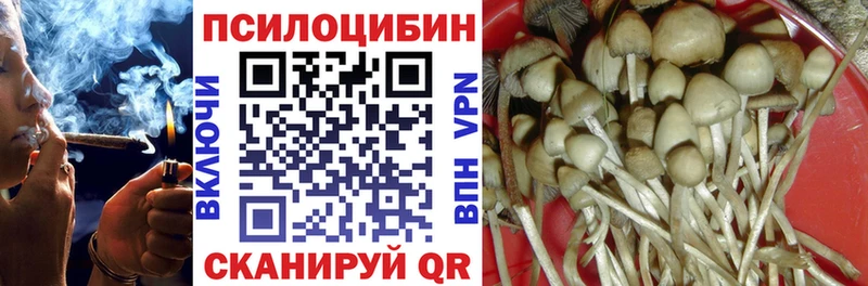 кракен маркетплейс  Порхов  Галлюциногенные грибы Cubensis  магазин  наркотиков 